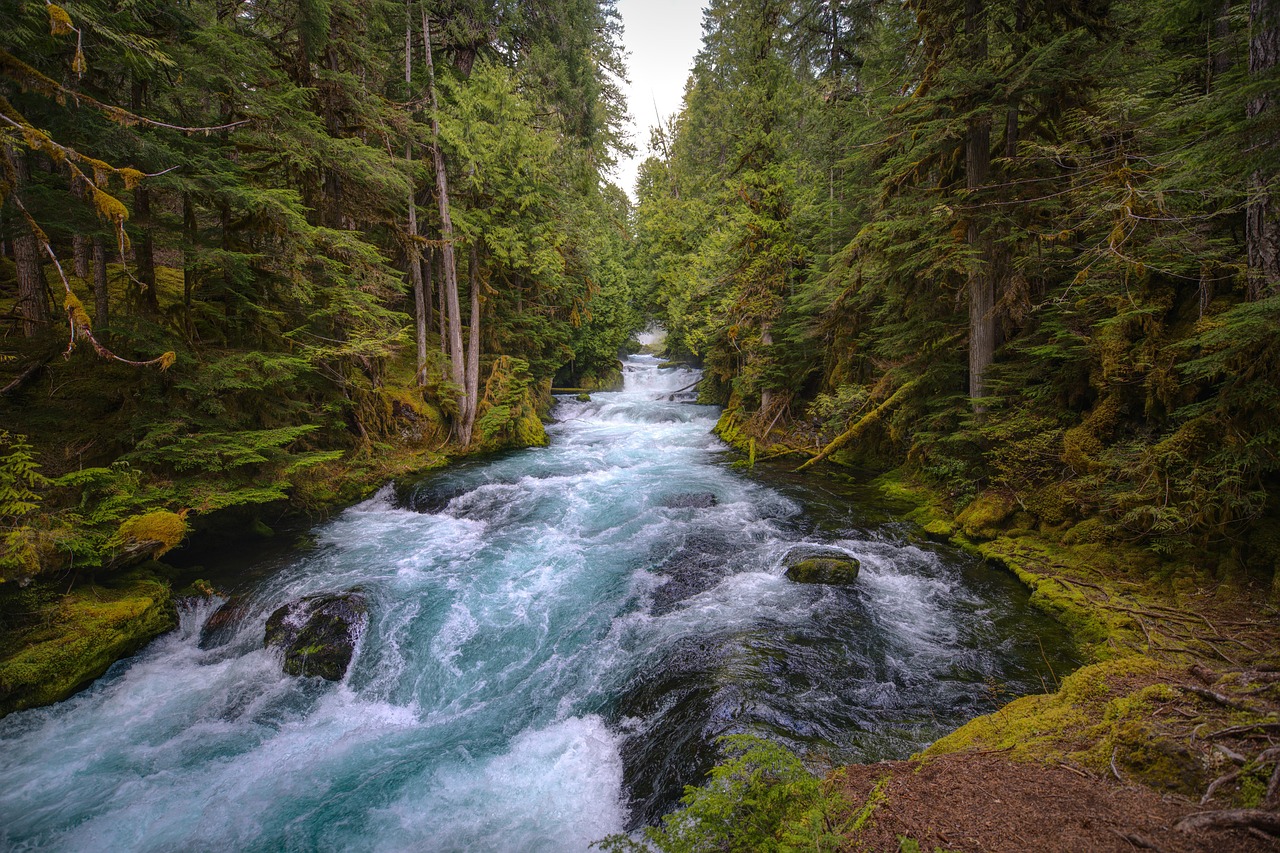 Kayak with beautiful landscapes